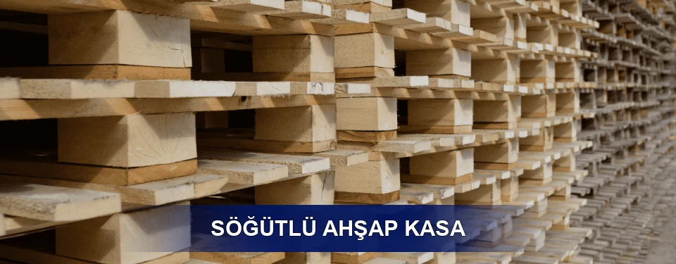 Söğütlü Ölçü Seçenekleri