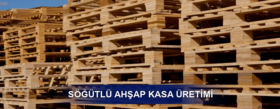 Söğütlü Fiyatlandırma