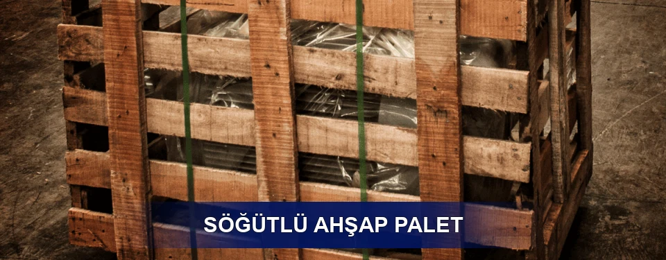 Söğütlü Ölçü Seçenekleri