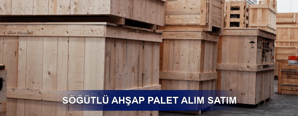 Söğütlü Fiyatlandırma