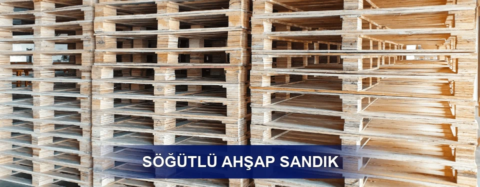 Söğütlü Ölçü Planı