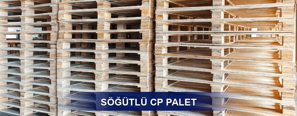 Söğütlü Standart Tipler