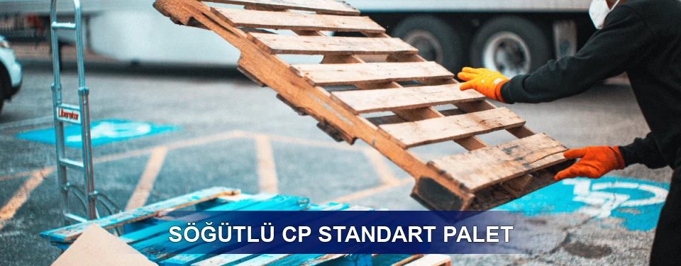 Söğütlü Fiyatlandırma