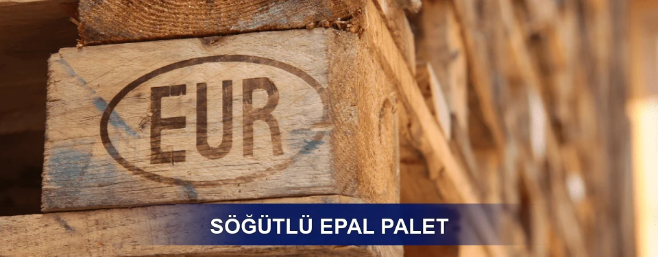 Söğütlü Standart Yapı