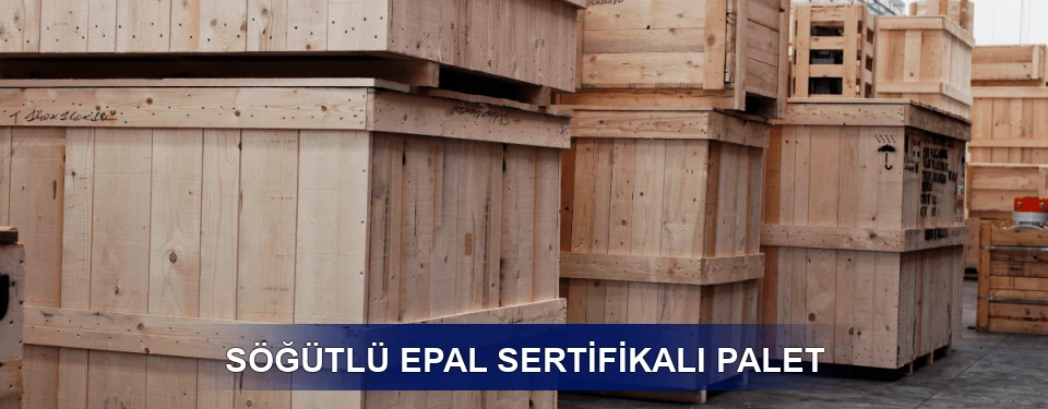 Söğütlü Fiyatlandırma