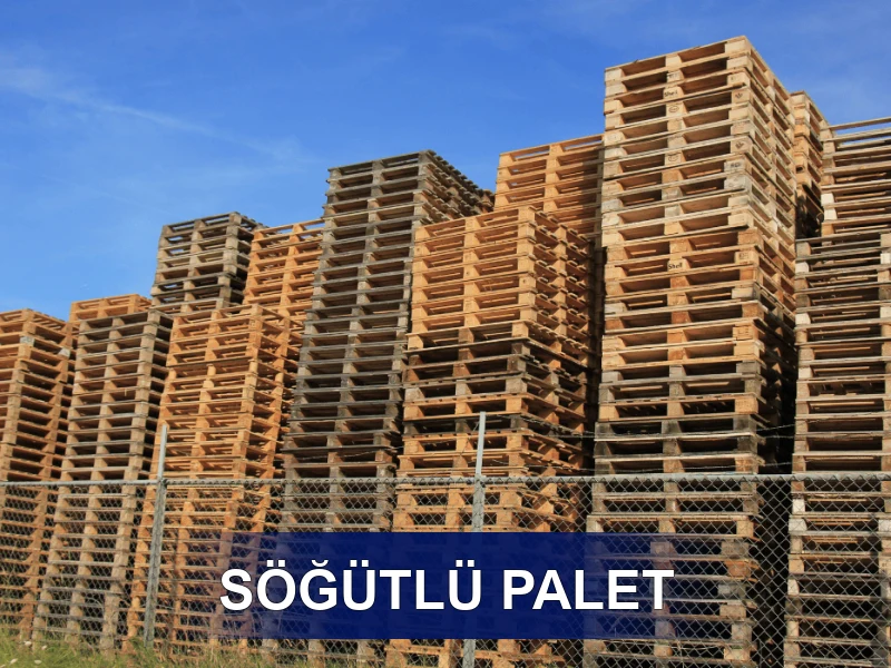 Söğütlü Palet Galeri 2