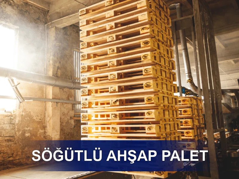 Söğütlü Palet Galeri 4