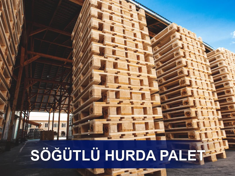 Söğütlü Palet Galeri 5
