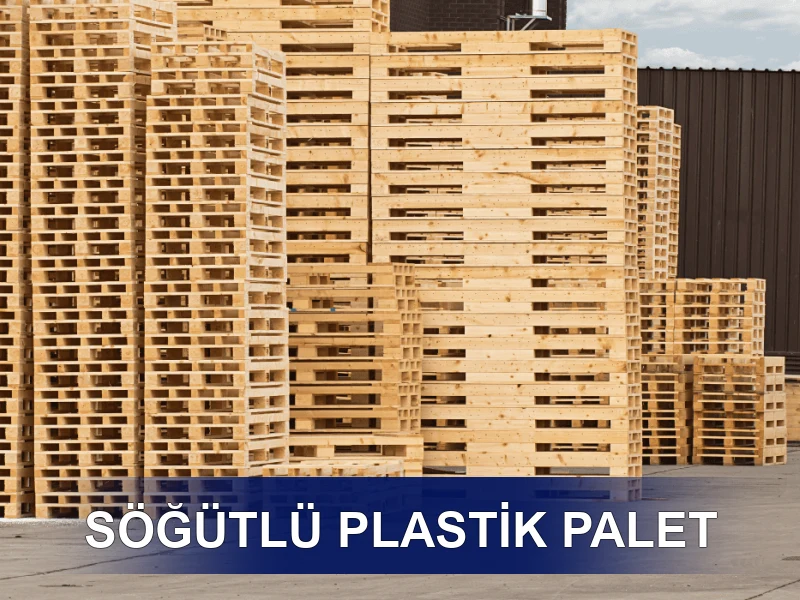 Söğütlü Palet Galeri 6
