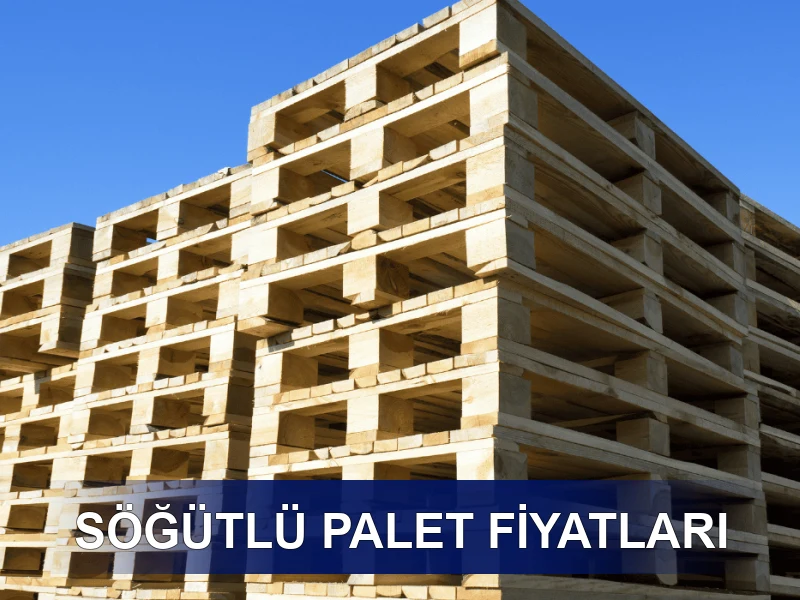 Söğütlü Palet Galeri 8