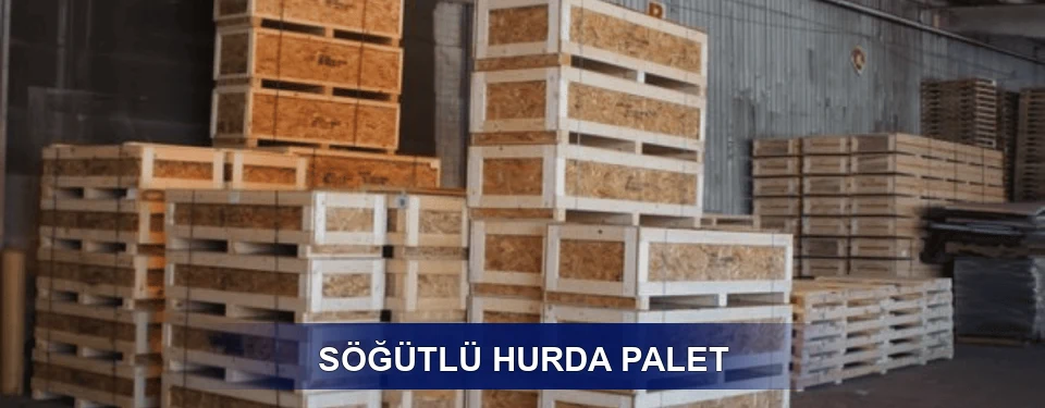 Söğütlü Sınıflandırma
