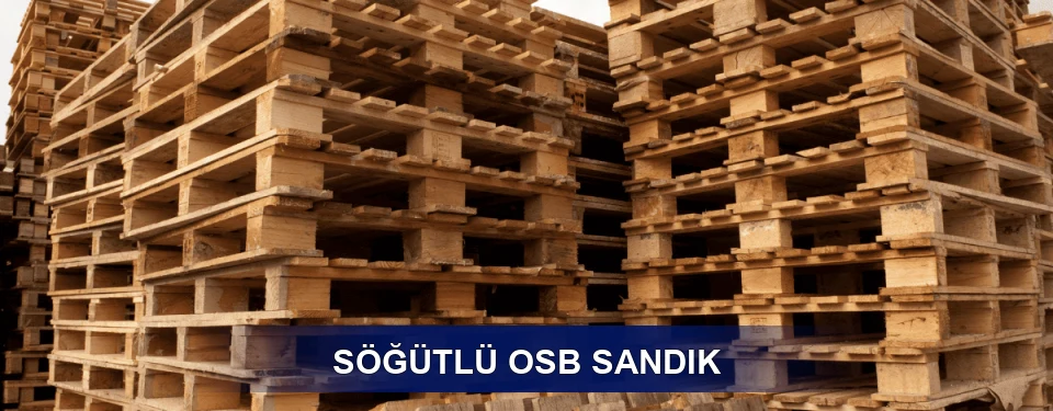 Söğütlü Ölçü Planı
