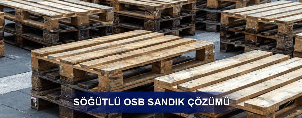 Söğütlü Fiyatlandırma