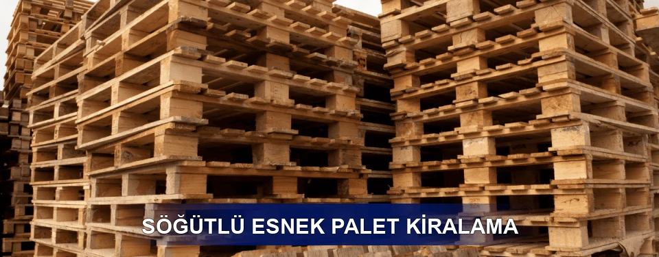 Söğütlü Fiyatlandırma
