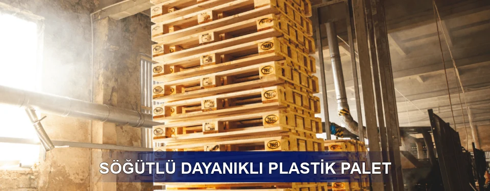 Söğütlü Fiyatlandırma