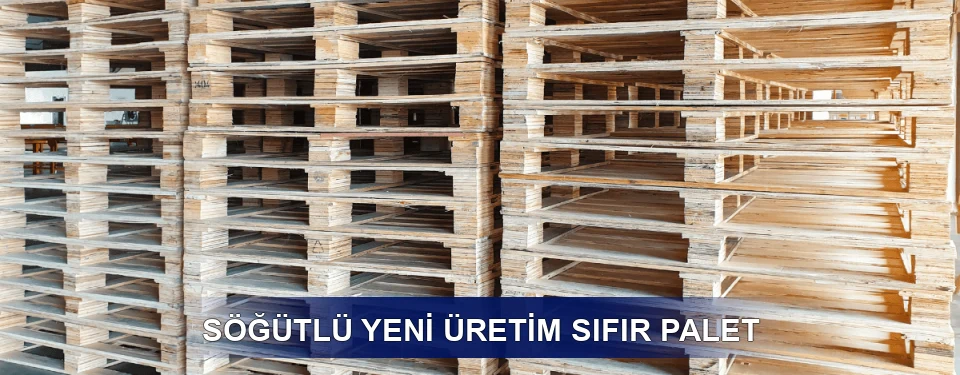 Söğütlü Fiyatlandırma