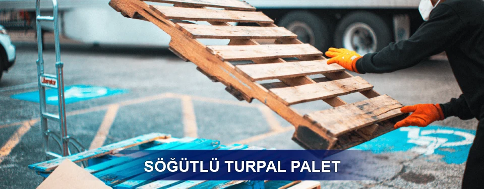 Söğütlü Market Uyumu